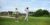 Získajte zelenú kartu a ročné členstvo v klube na golfovom kurze Dynamic Golf Academy